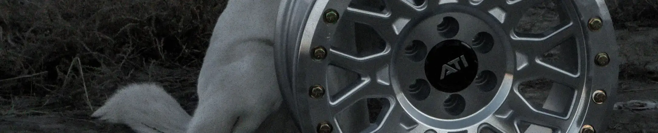 SUSPENSION COMPONENTS